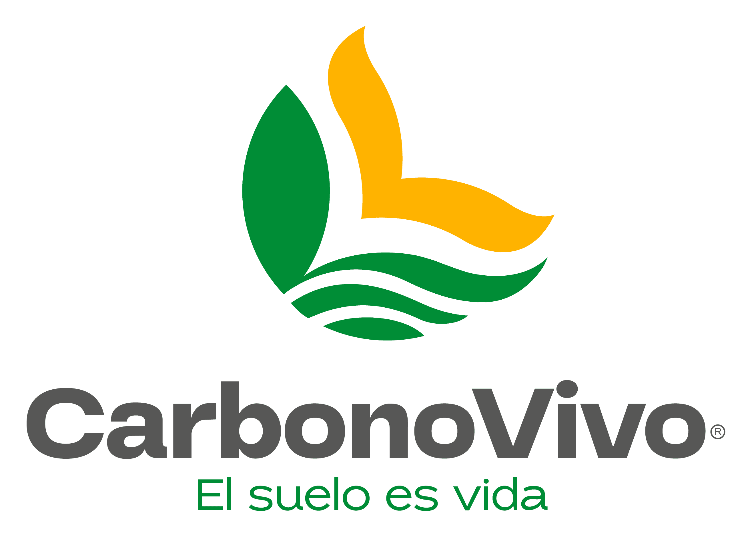 CarbonoVivo